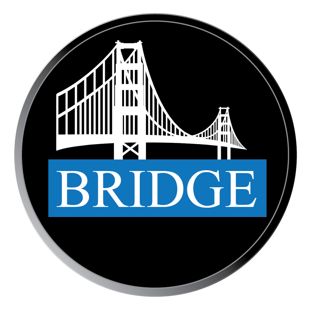 2 COLOR PRODUCT IMAGE BRIDGE
