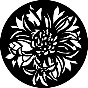 76572 - Bloomin Flowers