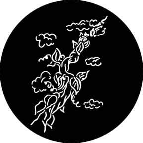 76579 - Beanstalk