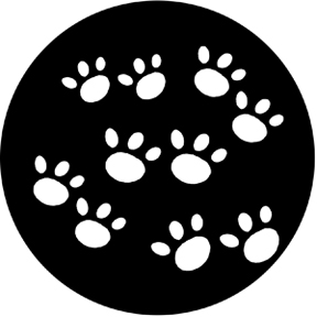 77647 - Paws