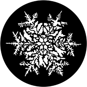 77771 - Snowflake