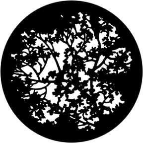 77774 - Blossoms