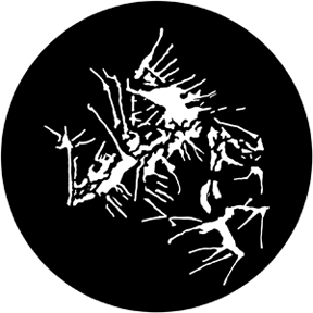 77790 - Paint Splatter