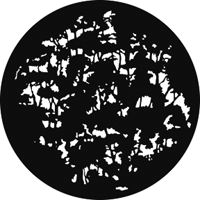 220 Dense Foliage (V)