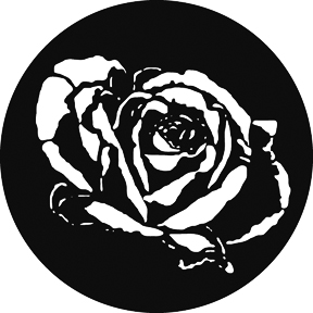 253 Rose (V) G253 - Rose