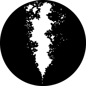 G318 - Mountain Road