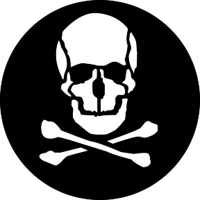 G343 - Skull