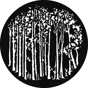 510 G510 - Reversed Saplings