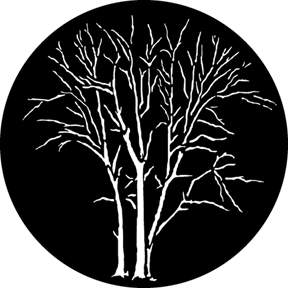 528 Winter Trees B (V) G528 - Winter Trees B