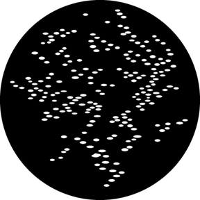 G548 - Pointillism
