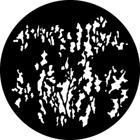 577 Foliage Breakup 1 (V)