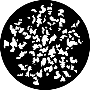 579 Foliage Breakup 3 (V)