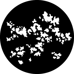 580 Foliage Breakup 4 (V)