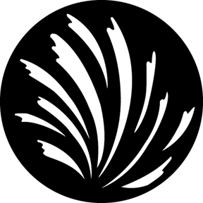 G594 - Splash