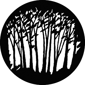 G654 - Slender Trees