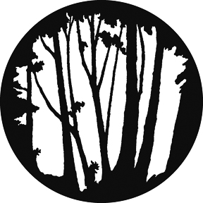 G657 - Mixed Trees