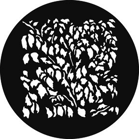 G689 - Leaf Breakup SQ