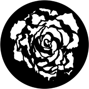 78084 - Blooming Rose