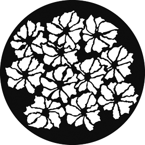 G781 - Hillside Blossoms