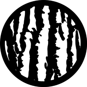 78224 - Rough Trunk