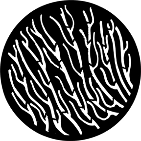 78250 - Kelp