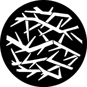 78251 - Thorns