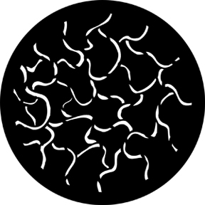 78252 - Squirms