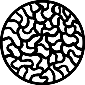 78253 - Squirms (Negative)