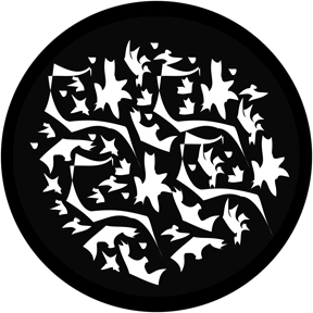 78425 - Matisse Breakup
