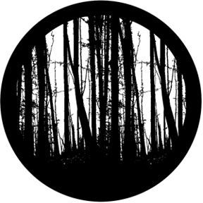 78436 - Standing Trees