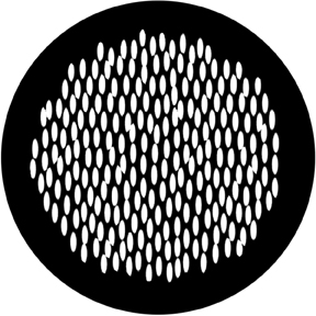 78440 - Lizard Skin