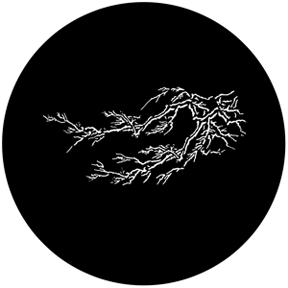 78481 - Lightning Fingers