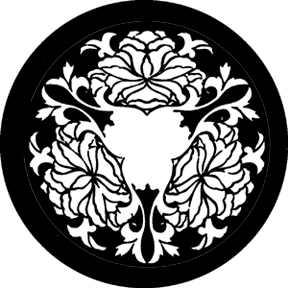 78531 - Chrysanthemum Rose