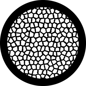 78600 - Reptilian Skin