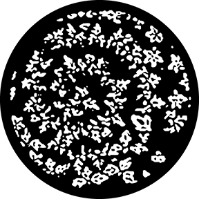78608 - Spiral Flower Breakup