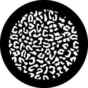 78620 - Cheetah Breakup