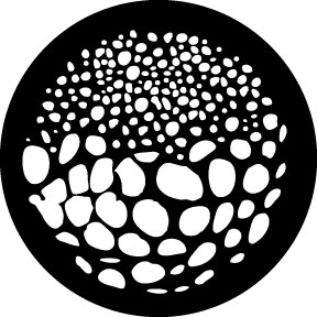 78642 - Scales Breakup