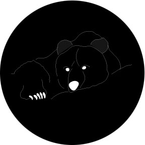 78654 - Grizzly Bear