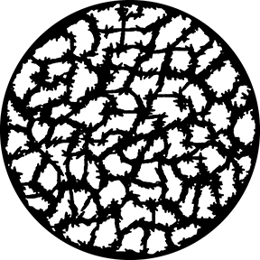 78687 - Barbed Breakup