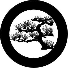 78689 - Desert Pine