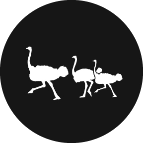 78690 - Ostrich