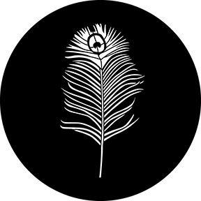 78693 - Peacock Single