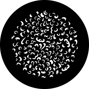 78707 - Wool