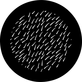 78713 - Thorn Fir