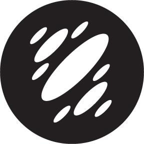 78756 - Flying Discs