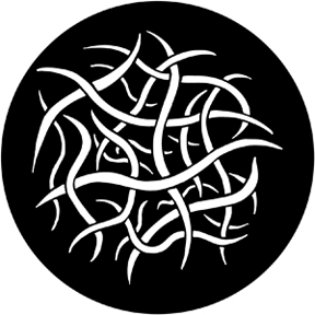 79074 - Worms