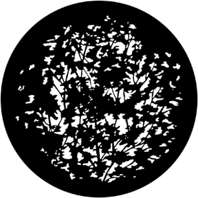 79114 - Dense Leaves 2