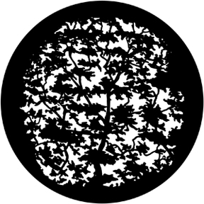 79118 79118 - Tree 7