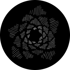 79743 - Sunflower Golden part 1