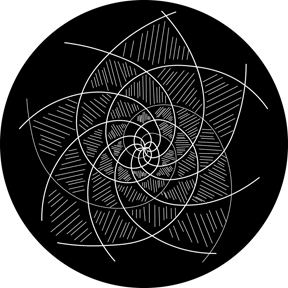 79745 - Sunflower Golden Whole